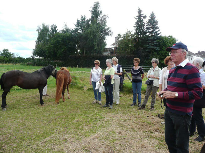 Besuch bei den Islandpferden auf dem Reiterhof  Lilo  Breuer 