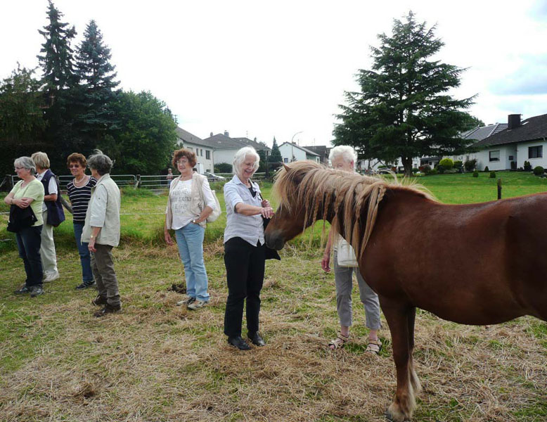 Besuch bei den Islandpferden auf dem Reiterhof  Lilo  Breuer 